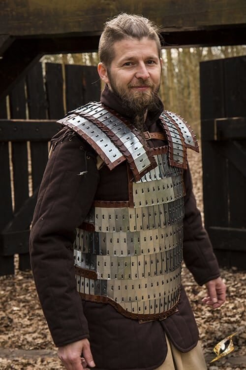 Viking Armour - Polished Metal - M/L