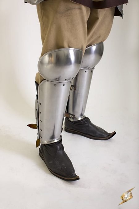 Enclosed Legprotection - immagine 3