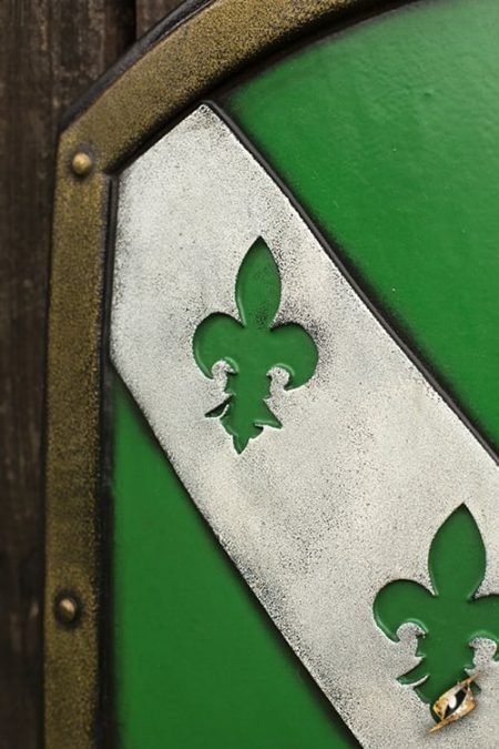 Lion Shield - Green - 80x50 cm - immagine 4
