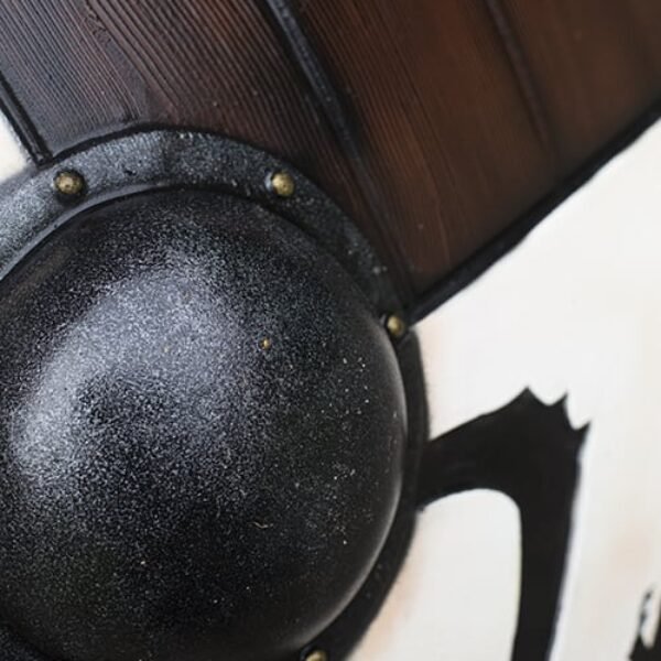 Viking Dragon Shield - White - ø80 cm