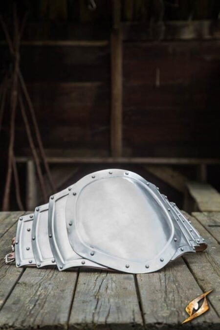 Gut Plate - Polished Steel - immagine 8