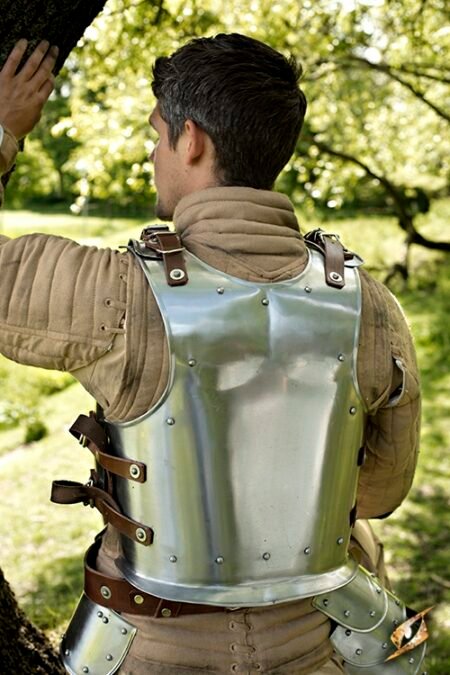 Back Plate Warrior