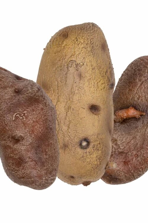 La Patate