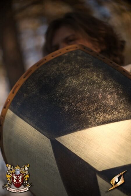 Baron's Shield - immagine 5