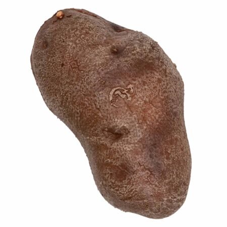 La Patate - immagine 9