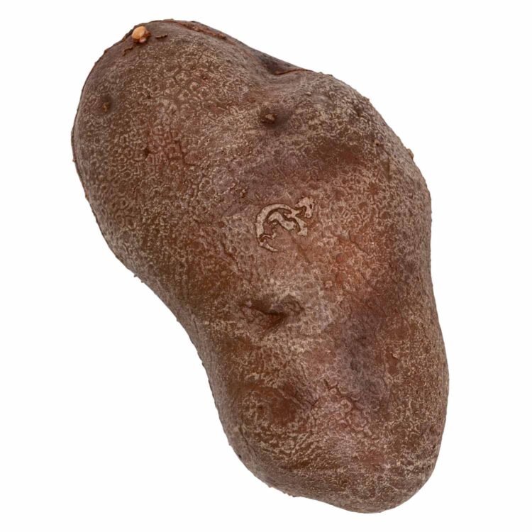 La Patate - immagine 9