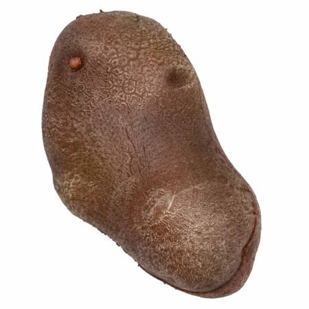 La Patate - immagine 7