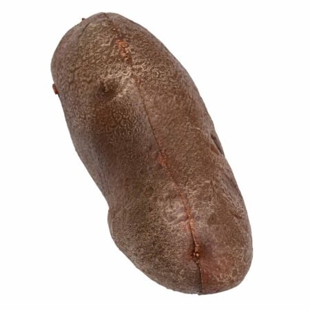 La Patate - immagine 6