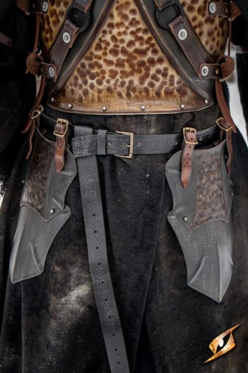 Raider Belt Shields