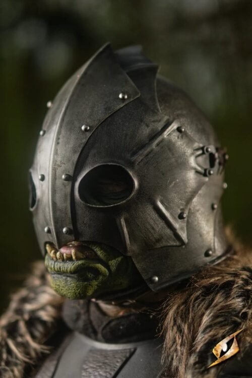 Raider Helmet