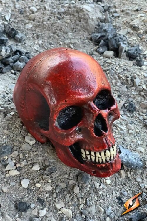 Medium Skull