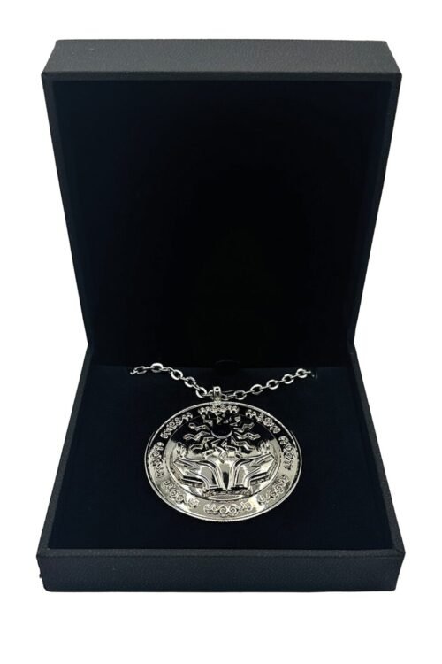 Dungeons & Dragons Jewelry - Amulet of Health